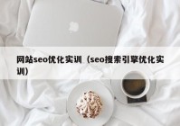 网站seo优化实训（seo搜索引擎优化实训）