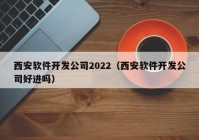 西安软件开发公司2022（西安软件开发公司好进吗）