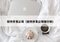 软件开发公司（软件开发公司排行榜）