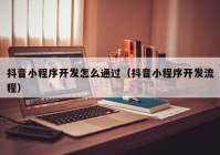 抖音小程序开发怎么通过（抖音小程序开发流程）