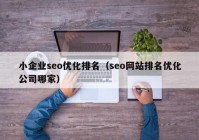 小企业seo优化排名（seo网站排名优化公司哪家）