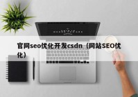 官网seo优化开发csdn（网站SEO优化）