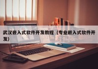 武汉嵌入式软件开发教程（专业嵌入式软件开发）